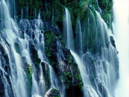 la nature